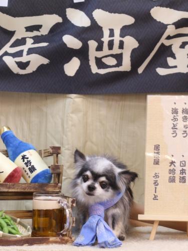 20240615クオンくん